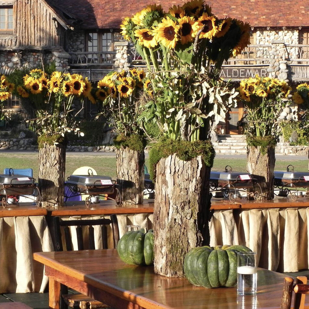 Sunflowers-outdoor-reception